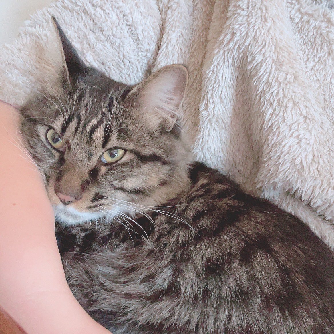 hagaiteeeeee's tweet photo. くそでか https://t.co/opWtwaVwFX