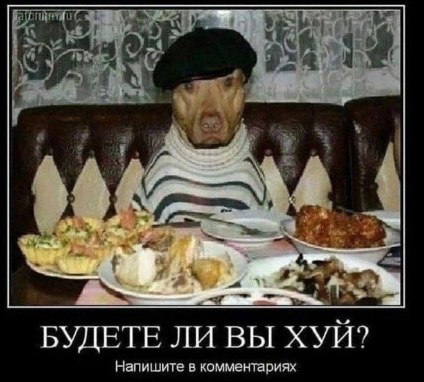 К🔞Т в 🔞чКаХ (@badumka228) on Twitter photo 