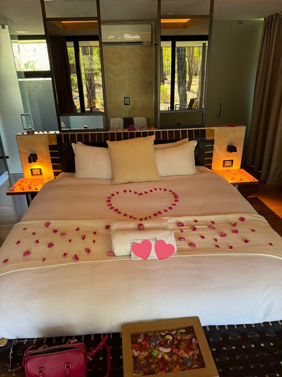 Little Red tweet media