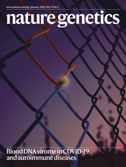 FreeMed_art's tweet image. 学術誌『Nature Genetics』Jan. 2025
表紙/特別掲載画像を制作いたしました!
フェンスをDNA二重螺旋に見立て、該当論文の核である”内在性HHV”を連想させる構成とし、背景には免疫応答の散布図を夜明けの街並みと重ね合わせています。
nature.com/ng/volumes/57/…