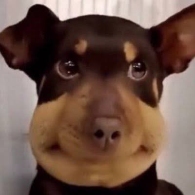 เชื่อแล้วว่าใช้คำว่าโทมัสก้องตำรวจลงเร็วจริงแต่ก็ยังอยากจถท้าทายระบบ