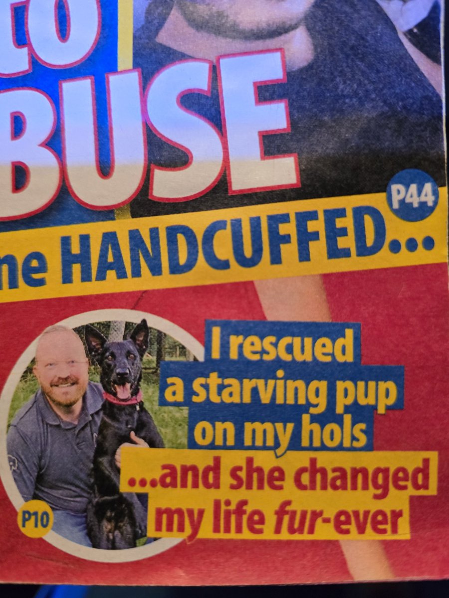 PlayforStrays tweet media