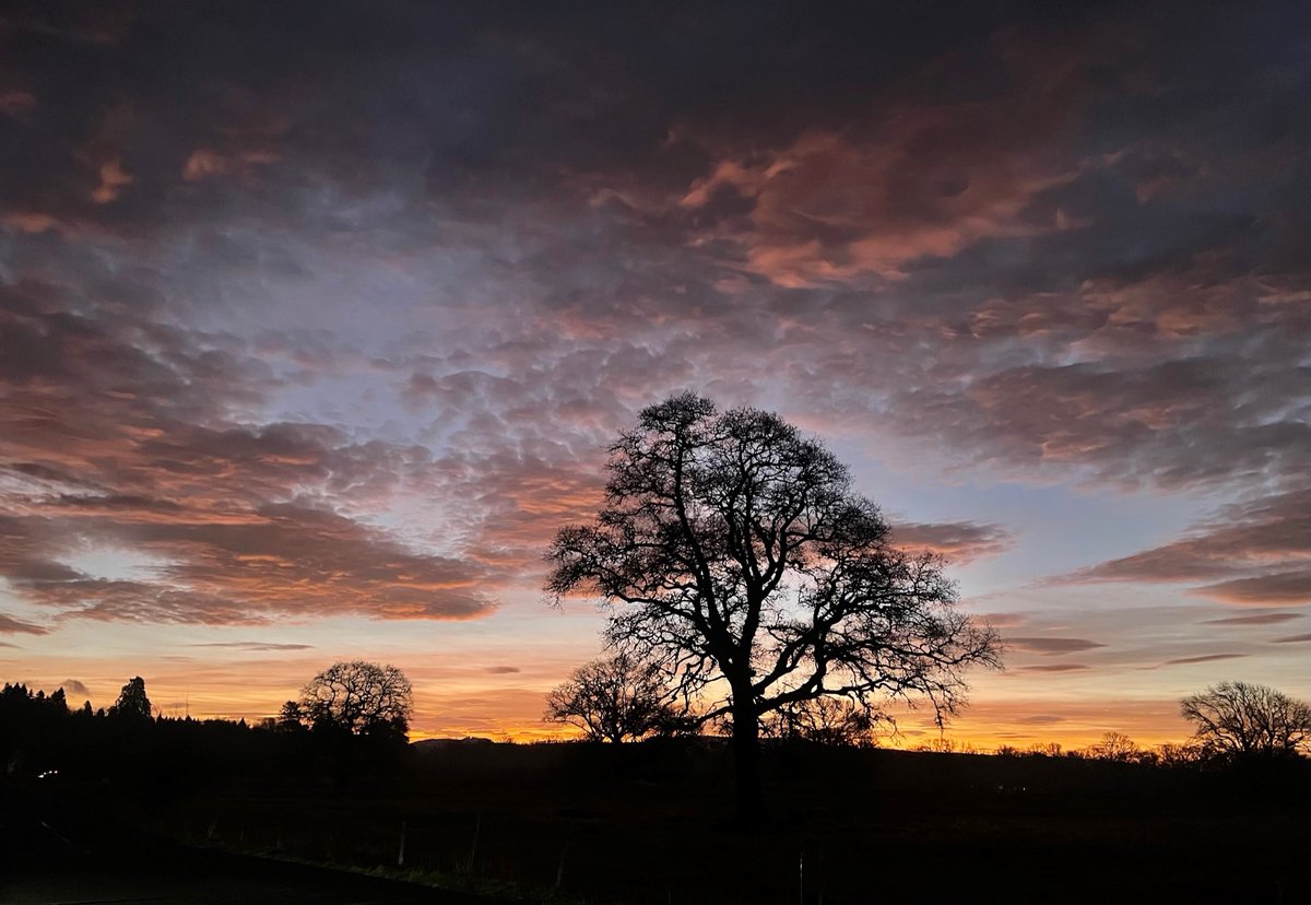 Good morning 👋🏼!
Just popping this little bit of natures beauty out there 💖. Surrounded by beautiful skies at the Club this morning as we get set for another day.

#lochlomond #lochlomondgolfclub #sunrise