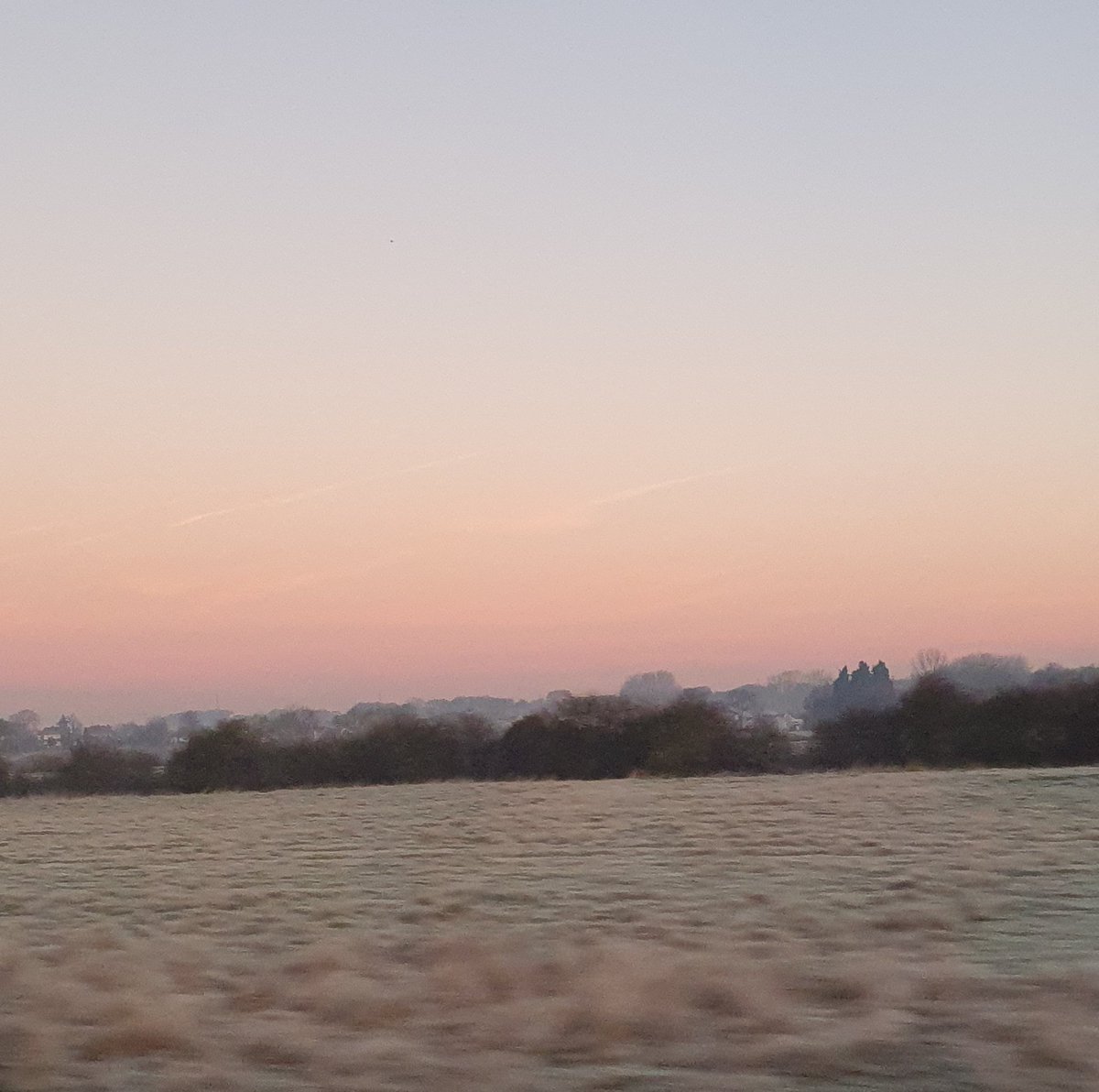 brewing82's tweet photo. London-bound again. A more familiar @LNER  route this time. View of Emley Moor mast from the platform! Lovely photos in the station. Frosty morning out there https://t.co/Dn2EqZPhGU