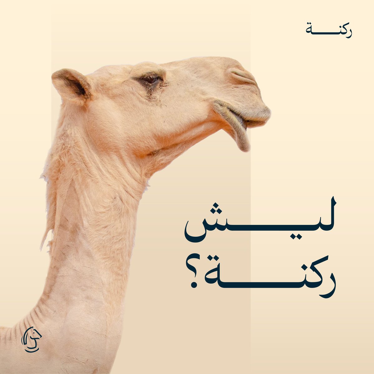 Raknah_sa's tweet photo. ركنة .. نفرق ونتميّز 😎 ! 

#ركنة #نقل_مواشي #الابل #الخيل #سرعة #عام_الإبل #الرياض 
#مهرجان_خادم_الحرمين_الشريفين_للهجن #الجنادرية https://t.co/In3JGeFsoc