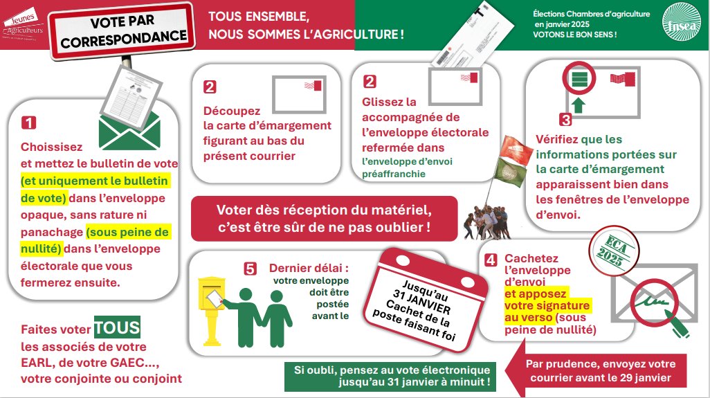 FDSEA56's tweet photo. [Élections Chambre d'Agriculture : découvrez notre guide pour voter ! 📩]

Dès réception de votre matériel de vote, passez à l'action et faites entendre votre voix. 🗳️
À vous de jouer ! 💪

#votonslebonsens #JA56 #fdsea56 #électionschambreagriculture #ECA2025 https://t.co/ZLr7GKde0t