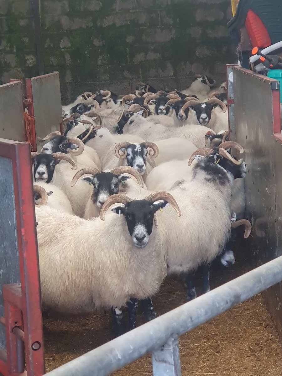 First scanning job of the year done.