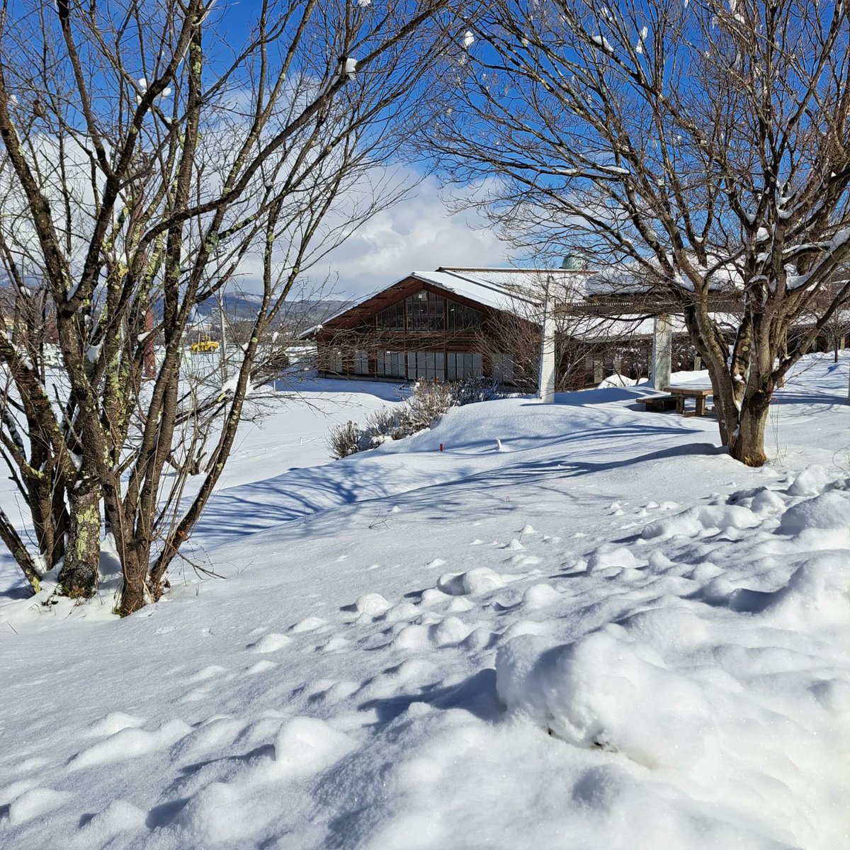 naganogbr's tweet photo. 本日1/16(木)
北信地区協議会 役員研修会が『飯綱町屋内ゲートボール場』で開催されました。
昨日からの⛄が心配されましたが、午後には暖かい🌞日差しが差し込み、北信地区協議会の役員・講師・大会等の協力者36名が参加。6チームに分かれ総当たり戦で試合が行われました。
#ゲートボール
#gateball https://t.co/hCBOplMdwd