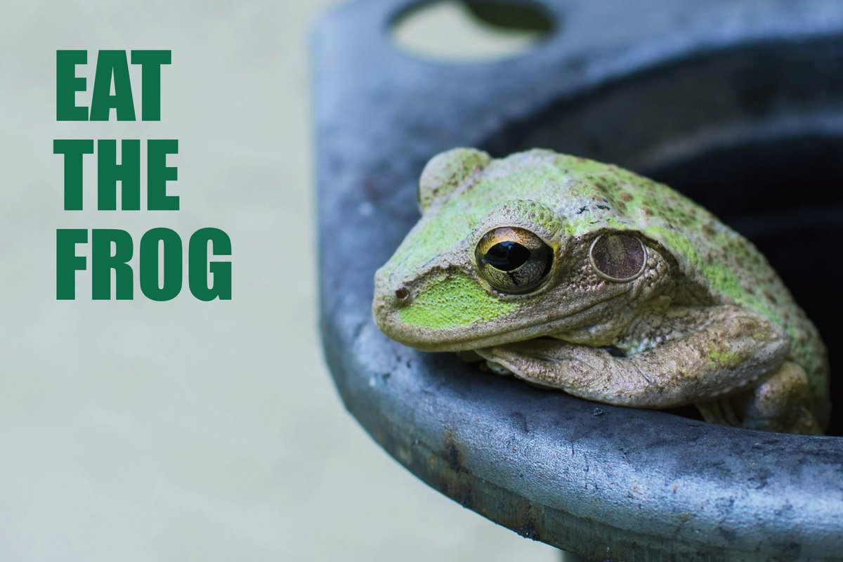 WorkRemarkably's tweet image. ⭐️new blog post alert⭐️
&quot;Eat the Frog&quot; is a powerful productivity technique, which suggests that you should do your most difficult and important task (your ugly frog 🐸) first thing in the morning; everything after that is much easier. This is incredibly powerful if you are able…