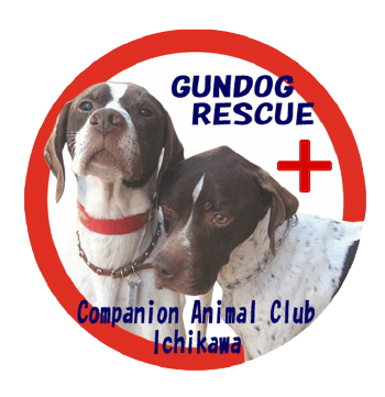 cgcjp's tweet photo. 1月18日(土)13時「#鳥猟犬 の保護について考える」   
#助けた犬は600頭以上 #GUNDOG #RESCUE #CACI の #金子理絵 先生によるセミナー。 
譲渡には向いていないとされていた #鳥猟犬 を保護・譲渡するためのヒント。
見逃し配信あり
https://t.co/5YAnjyFjCq……
 #犬の里親募集 #千葉 #市川市 https://t.co/qjRFMCuuL0