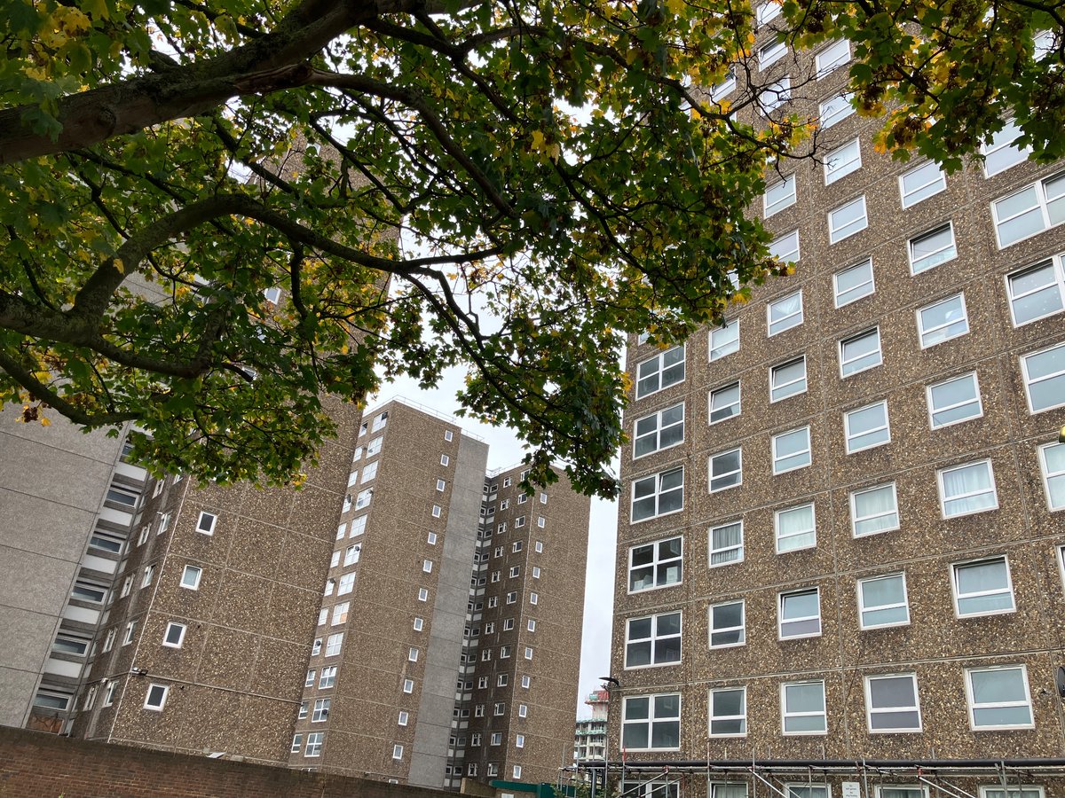 Ayshea Buksh tweet media