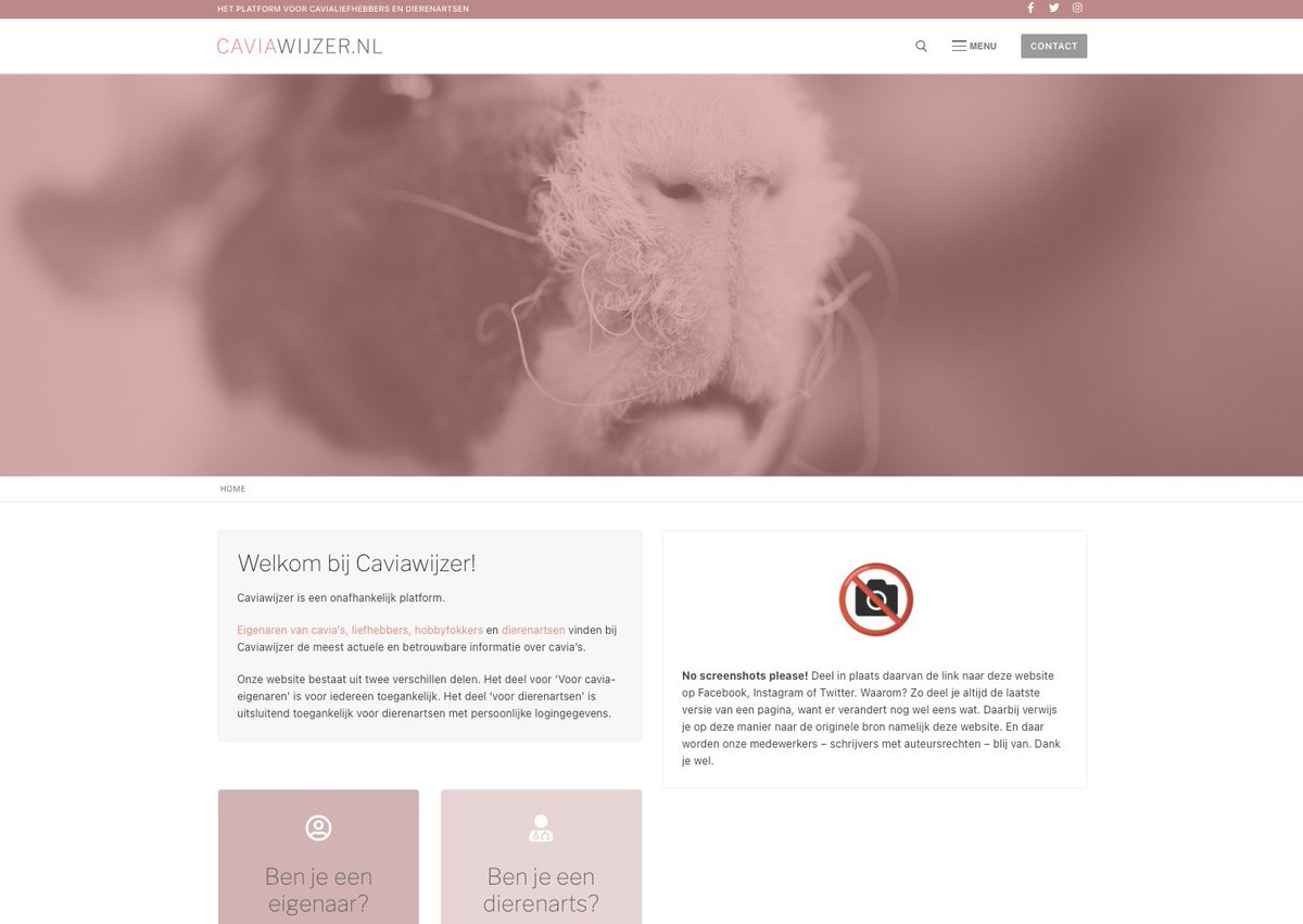 caviawijzer's tweet photo. Onze nieuwe website vordert. Binnenkort online, nu alvast een preview van onze homepage. #caviawijzer #guineapig #dierenzorg https://t.co/rx9fXnyY31