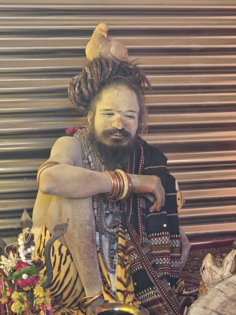 William Dalrymple tweet media