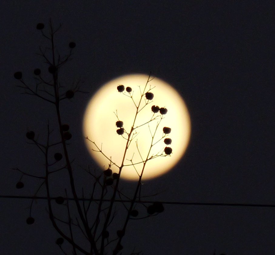 S_BLUE_CANON's tweet photo. お月様🌕

＃LUMIX S9
＃LUMIX S 28−200 F4−7.1
＃手持ち撮影
＃初のLUMIX https://t.co/SDVV97JPUi