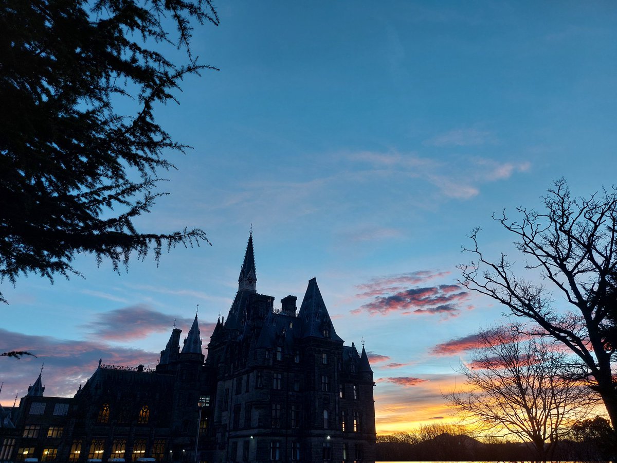 Fettes Humanities tweet media