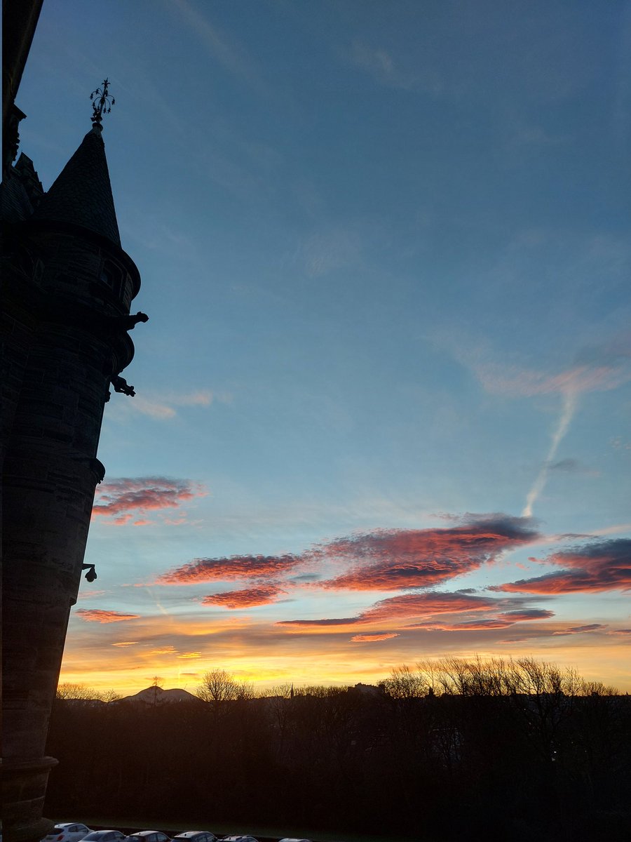 Fettes Humanities tweet media