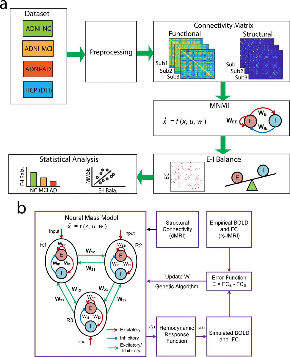 thmonk_pf's tweet photo. fMRIから神経活動patternを推定する数理model、Multiscale Neural Model Inversionを用いてrsfMRIからAlzheimer病に於るE/I balanceを評価

辺縁系/cingulate中心の病態進行に伴う抑制性systemの障害によるE/I balanceの進行性破綻

OA

#EI_balance 
#Alzheimeers 
#papers 
https://t.co/wF1cRZX8WO https://t.co/oHEI5YxPID