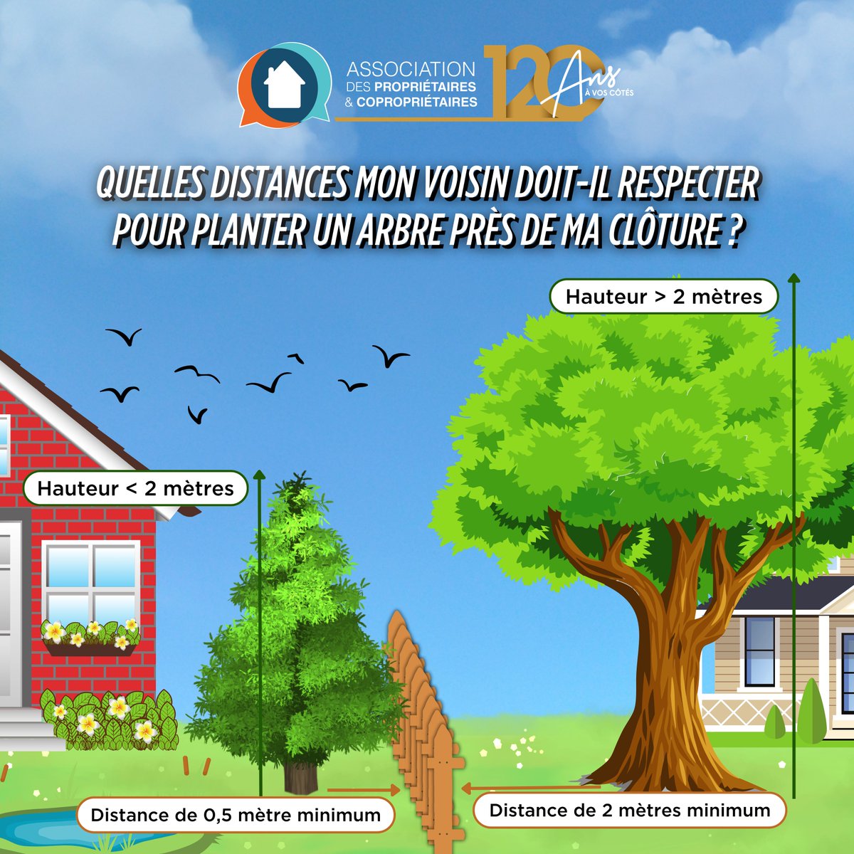 🌳 Quelles distances mon voisin doit-il respecter pour planter un arbre près de ma clôture ?

🖥️ Soyez informé de toute l'actualité en immobilier et abonnez-vous à notre newsletter : tinyurl.com/yc3p6s3c