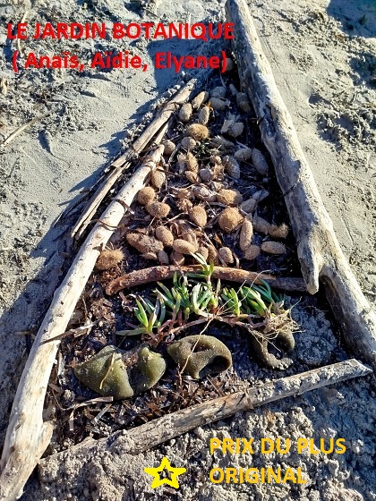 Collège Victor Hugo - Gassin tweet media