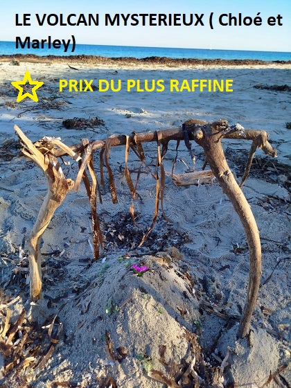 Collège Victor Hugo - Gassin tweet media