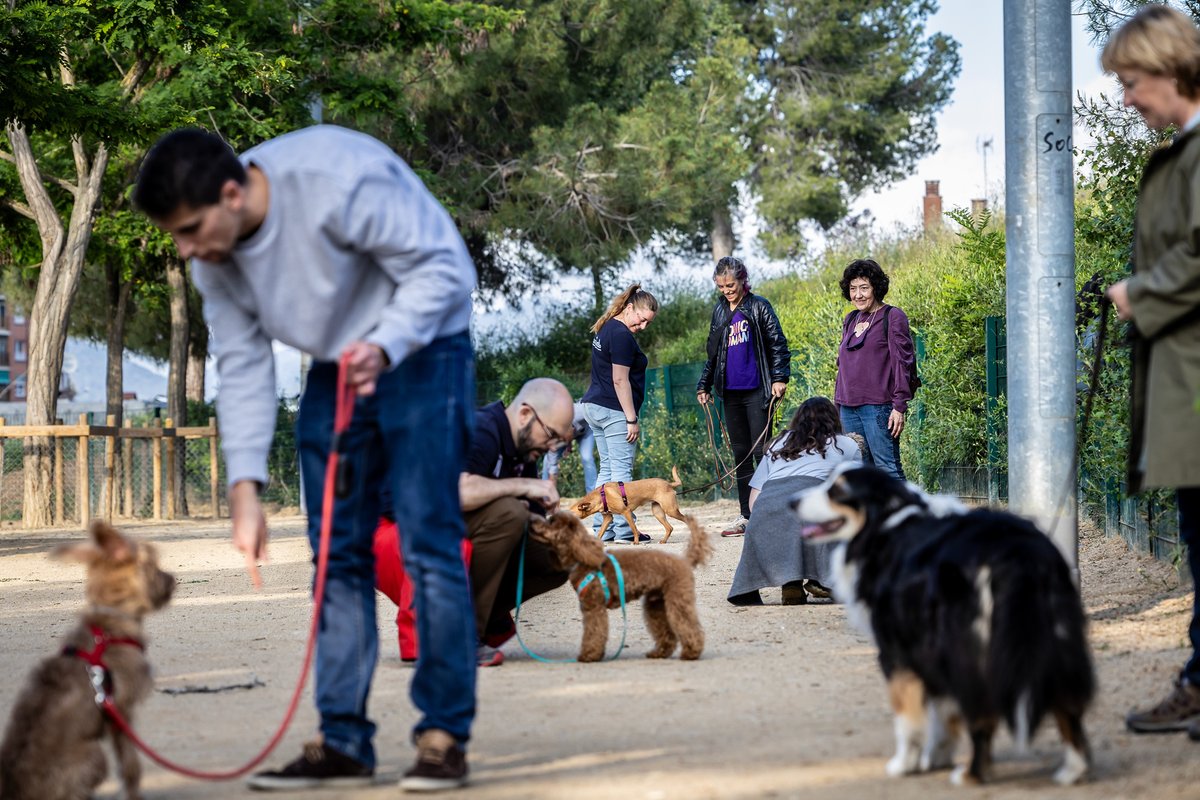 Premsa AMB tweet media