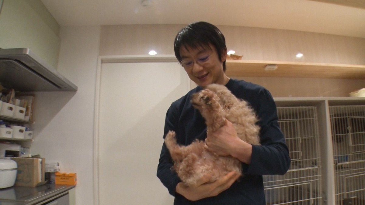 nekoinuwideshow's tweet photo. 自身が殺処分寸前のいぬを飼っていたことで、
保護活動を続けてきた獣医師。
その活動の一環で、保護ネコ・保護犬も安価で治療を受けられるのだとか。
全てのネコいぬに平等な医療をと願う獣医師の活動に密着しました。

１/１７（金）よる１０時です！

＃ネコいぬワイドショー https://t.co/wkIwcmVQgn