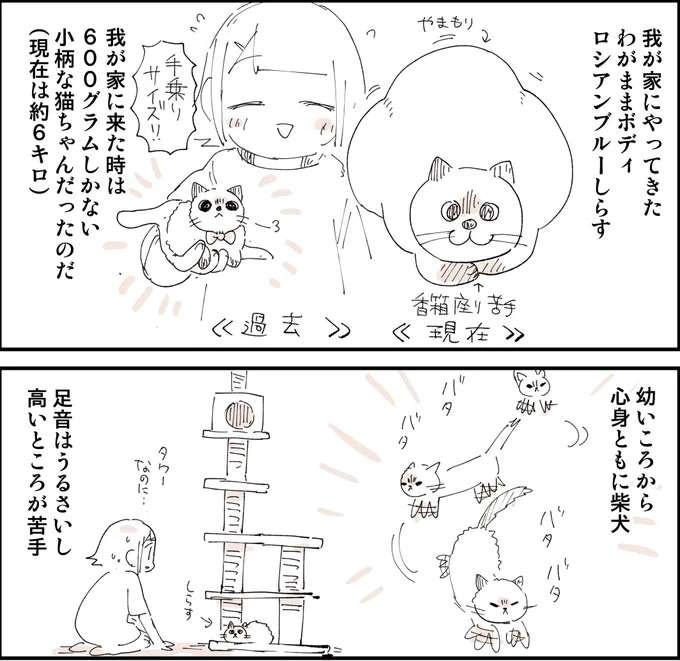 しらすハピバ!!6歳おめでとう!!! 0/5 