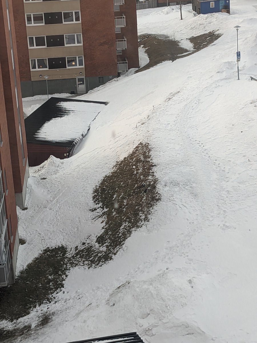 It's January in the subarctic. 
5°C, rained yesterday, snow's melting. 

Everything is fine. 
Right? 

Right?