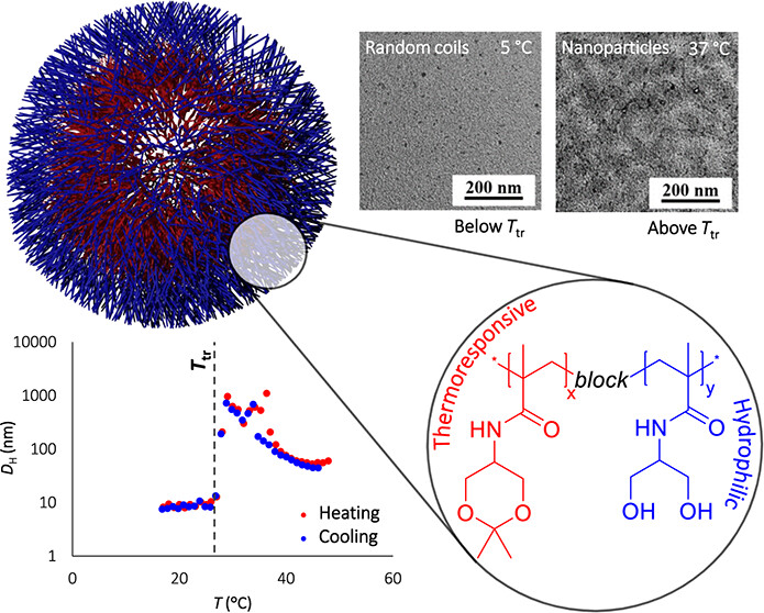 Institute of Macromolecular Chemistry CAS (@imc_prague) on Twitter photo #new_paper: Dual Thermo- and pH-Responsive Polymer Nanoparticle Assemblies for Potential Stimuli-Controlled Drug Delivery
<a href="/ACSPublications/">ACS Publications</a>: thermoresponsive polymers, pH-sensitive polymers, self-assembling block copolymers, drug delivery systems
doi.org/10.1021/acsabm… #new_paper: Dual Thermo- and pH-Responsive Polymer Nanoparticle Assemblies for Potential Stimuli-Controlled Drug Delivery
<a href="/ACSPublications/">ACS Publications</a>: thermoresponsive polymers, pH-sensitive polymers, self-assembling block copolymers, drug delivery systems
doi.org/10.1021/acsabm…