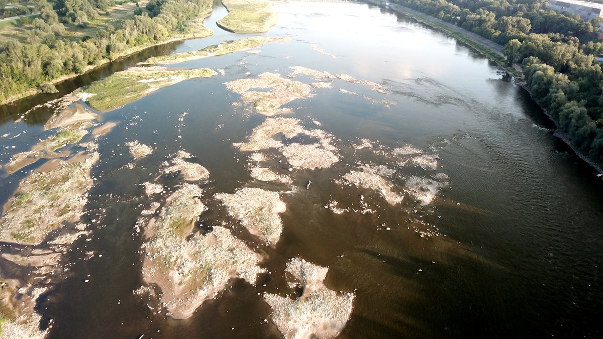 Save Polesia (@savepolesia) on Twitter photo 7 years of resistance pays off! 🙌 After years of protests and 140,000 signatures, the Siarzewo dam project in 🇵🇱 is officially canceled. The #Vistula river remains free and wild! More details: savepolesia.org/victory-for-vi… 
📷Robert Chwiałkowski
#stop_E40 7 years of resistance pays off! 🙌 After years of protests and 140,000 signatures, the Siarzewo dam project in 🇵🇱 is officially canceled. The #Vistula river remains free and wild! More details: savepolesia.org/victory-for-vi… 
📷Robert Chwiałkowski
#stop_E40