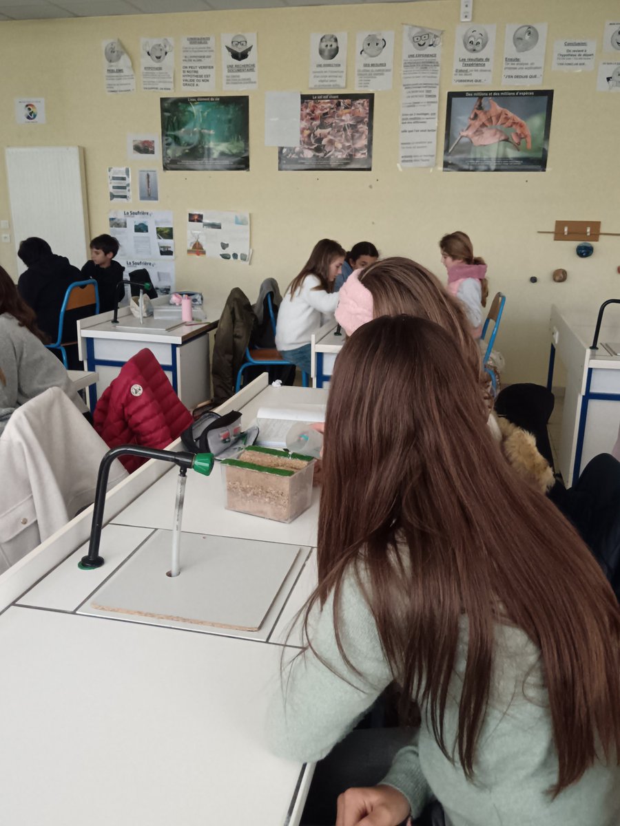 Collège Victor Hugo - Gassin tweet media