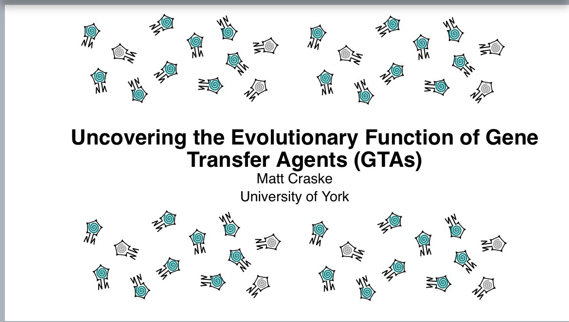 3rd year attending <a href="/VoM_UK/">VoM-UK</a> &amp; a first presenting 🎙️ Great experience being able to discuss the evolutionary function of Gene Transfer Agents &amp; another brilliant year of talks from the phage community 👏