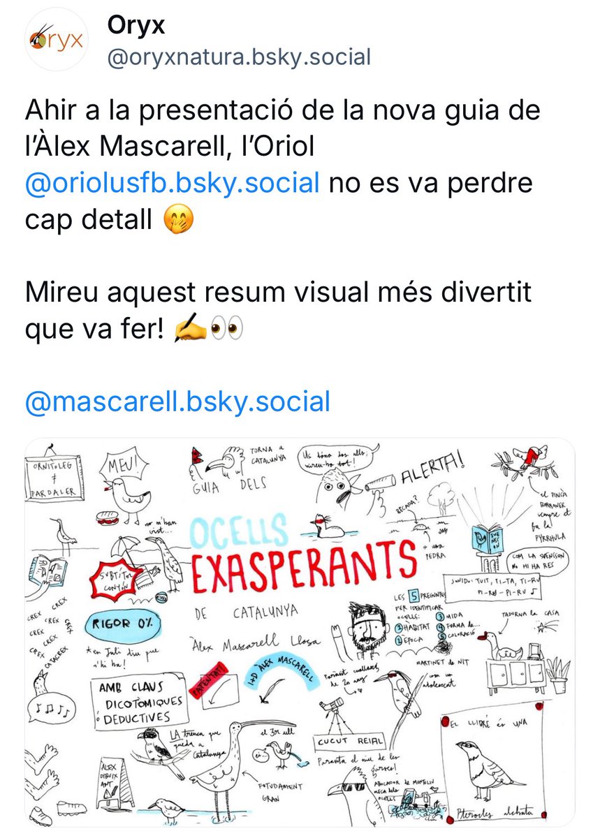 Ho haveu vist això! Ho haveu vist!!!!
Quina delicia de dibuix d'en <a href="/oriolusfb/">oriol FB</a> d'ahir a <a href="/oryxnatura/">Oryx</a>!