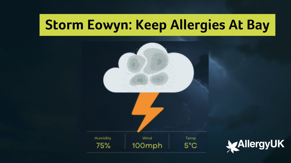 AllergyUK1's tweet photo. Storm Eowyn is hitting the UK this Friday with 100mph winds and heavy rain, creating the perfect environment for mould. This can trigger allergies like rhinitis, itchy eyes, eczema, and asthma. Stay safe indoors and follow these tips: https://t.co/RI7Y34g9am