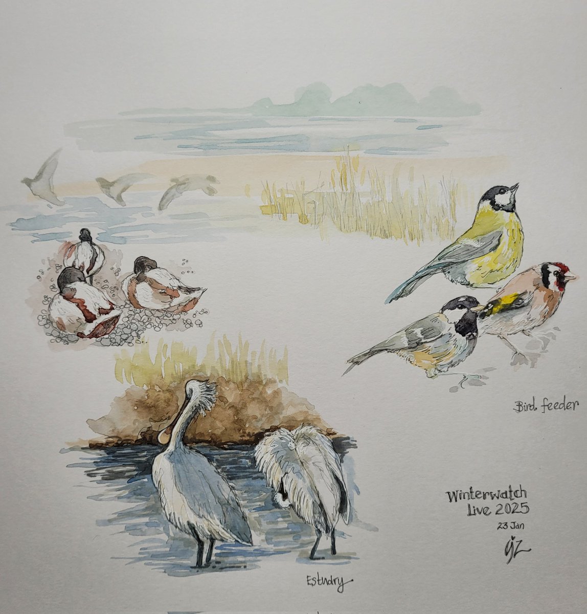 🦇 Lizzie Vinson 🦇 (@bzillustrations) on Twitter photo Wondering how to lose all sense of time whilst feeling totally relaxed? #bbcwinterwatch Live webcams, that's how!
<a href="/BBCSpringwatch/">BBC Springwatch</a> Wondering how to lose all sense of time whilst feeling totally relaxed? #bbcwinterwatch Live webcams, that's how!
<a href="/BBCSpringwatch/">BBC Springwatch</a>