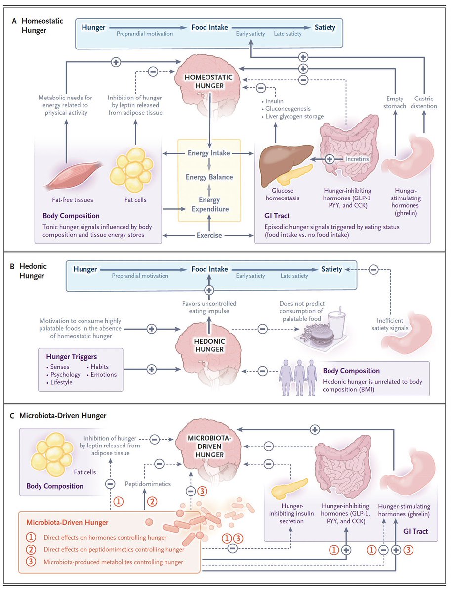 Nutrition Science tweet media