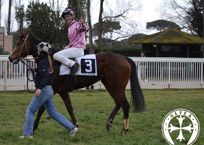 COMEQUANDOCERITU wins at Pisa 🇮🇹  congratulations to all connections 🎉 a new individual for MAGNA GRECIA 🏛️ March Hare Stud
👀 #followtherabbit 🐇
