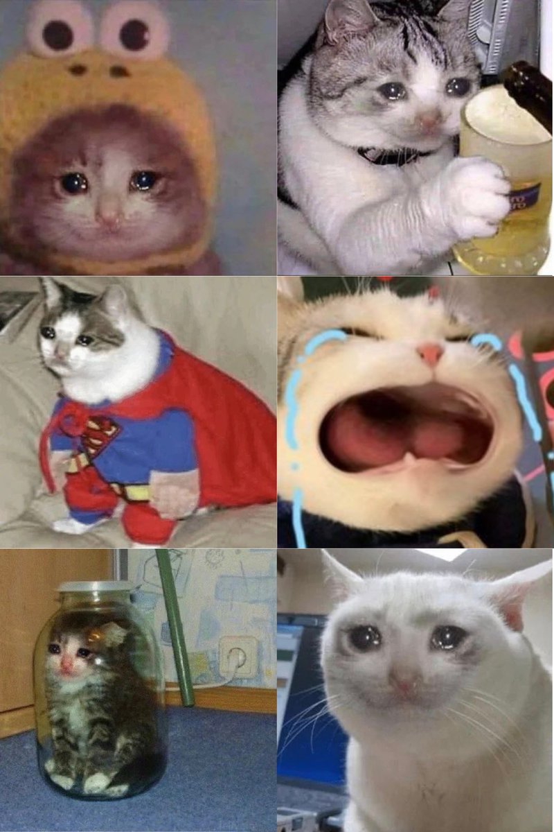 Depression? Chronic,

Crying Cat? Iconic. 

- $Crying Cat 

Ca:
2ZHYWGndLx76H7NCN4ieMRHSRAAiiWEtJFpHmmXYmE6Z