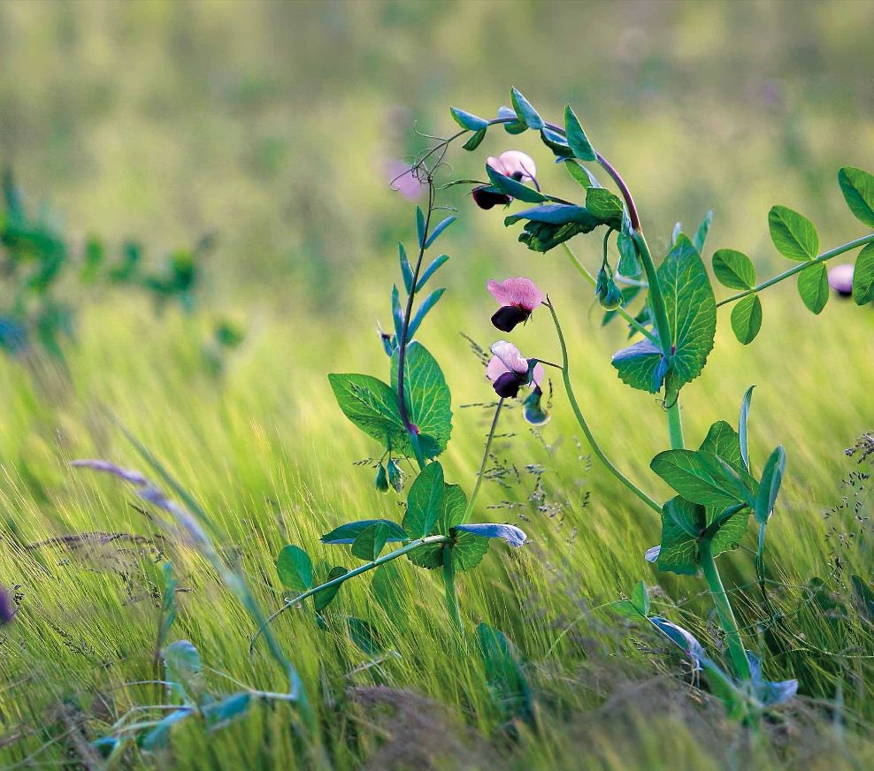 ⚠️La proposition de loi du Sénateur Laurent Duplomb, si elle était adoptée, nous ferait passer dans une ère trumpiste. Être  au service de l’agriculture, c’est investir dans la science, reconcilier santé des sols et santé humaine et agir pour la justice économique <a href="/socialistesAN/">Députés Socialistes et apparentés</a>