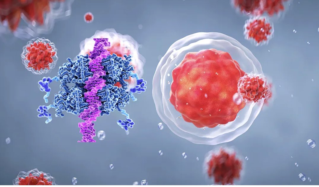 GHeilung's tweet photo. Kinder reagieren anders auf #Tumore als Erwachsene, da ihr #Immunsystem unterschiedlich arbeitet.  Diese Erkenntnisse könnten die Entwicklung von maßgeschneiderten Immuntherapien für Kinder revolutionieren, die bisher nur begrenzt von bestehenden Be...
https://t.co/Vgn5Ewuj5o https://t.co/M4c6X2jVTJ
