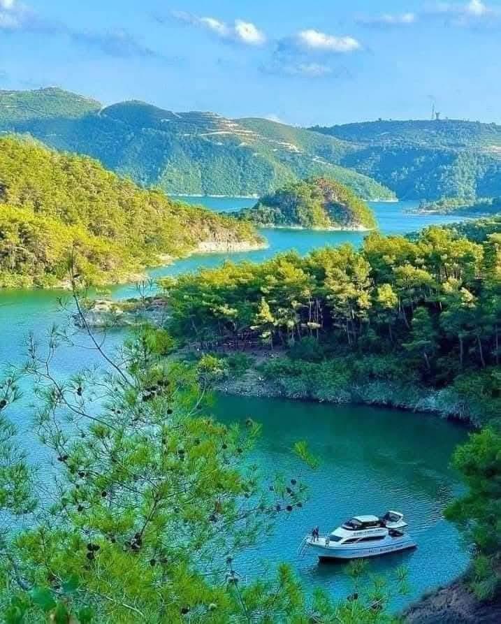 #visitsyria #حيو_سوريا #syria #سوريا #ElonMusk