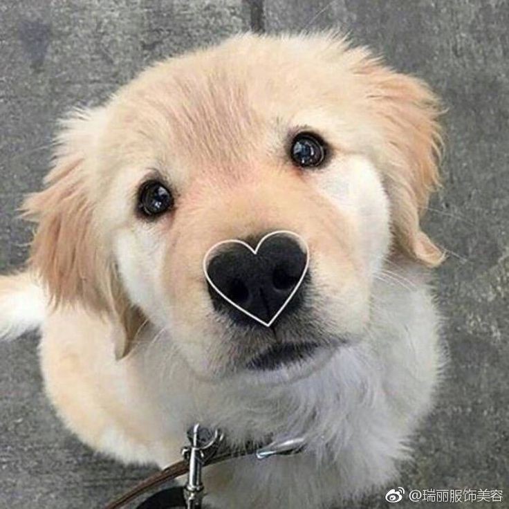 CDForVella's tweet image. Caption likhny ka man nahi h akhir kiu likhu tumhare liya roz roz captions 🙂‍↔️
 Tum shukriyaah thank you bol kr chly jao gy apny friends (jinse m bikul jealous nahi hoti) ki stories repost krny 🌞

#07DaysToGo