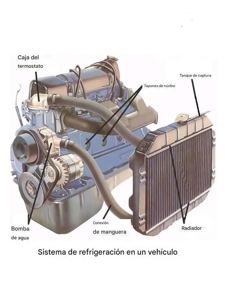 AutovolksRefacc's tweet photo. Sistema de enfriamiento en un auto! #AutoVolks #autovolksrefaccionarias #LaCasaDeLasMejoresMarcas 🚗💨❄️ https://t.co/uJ0FzrmnJU
