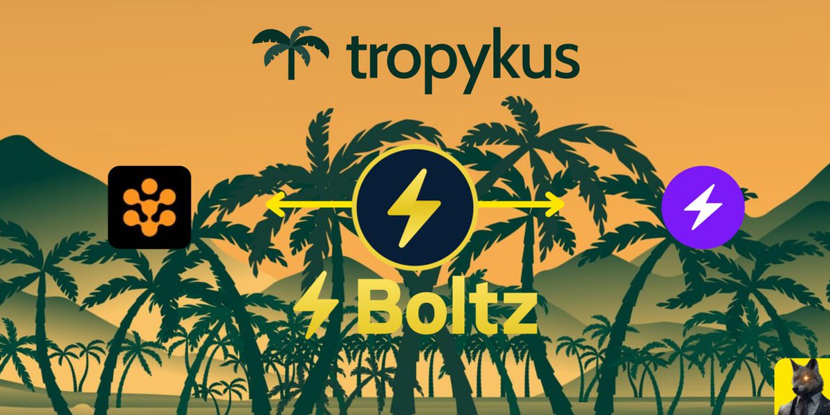 BTCLegosi's tweet photo. 🧵 Tutorial: Enviar RBTC desde @rootstock_io hacia Lightning ⚡ utilizando @Boltzhq &amp; @tropykus.

Con la reciente integración de Boltz a Tropykus vamos realizar una conversión de RBTC hacia la red Lightning Network. 

Sigue estos pasos ⤵️ https://t.co/fH7IfnyOqF