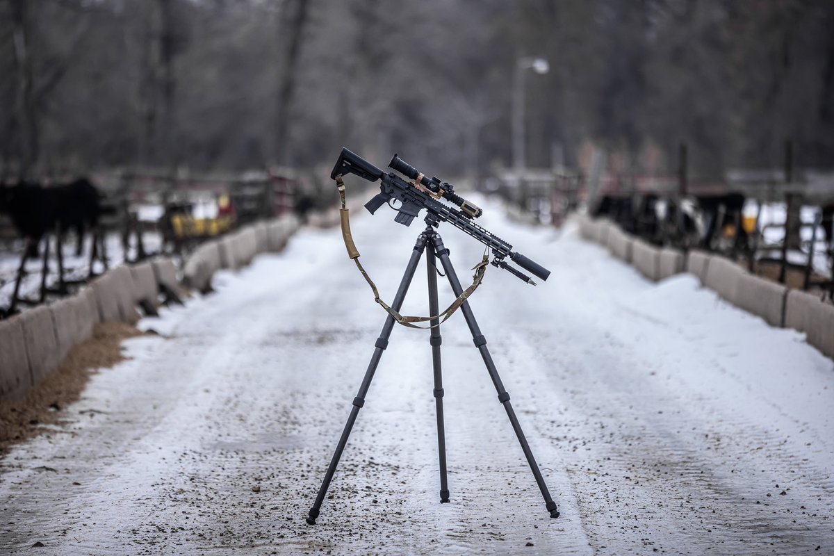 Tag Firearms tweet media