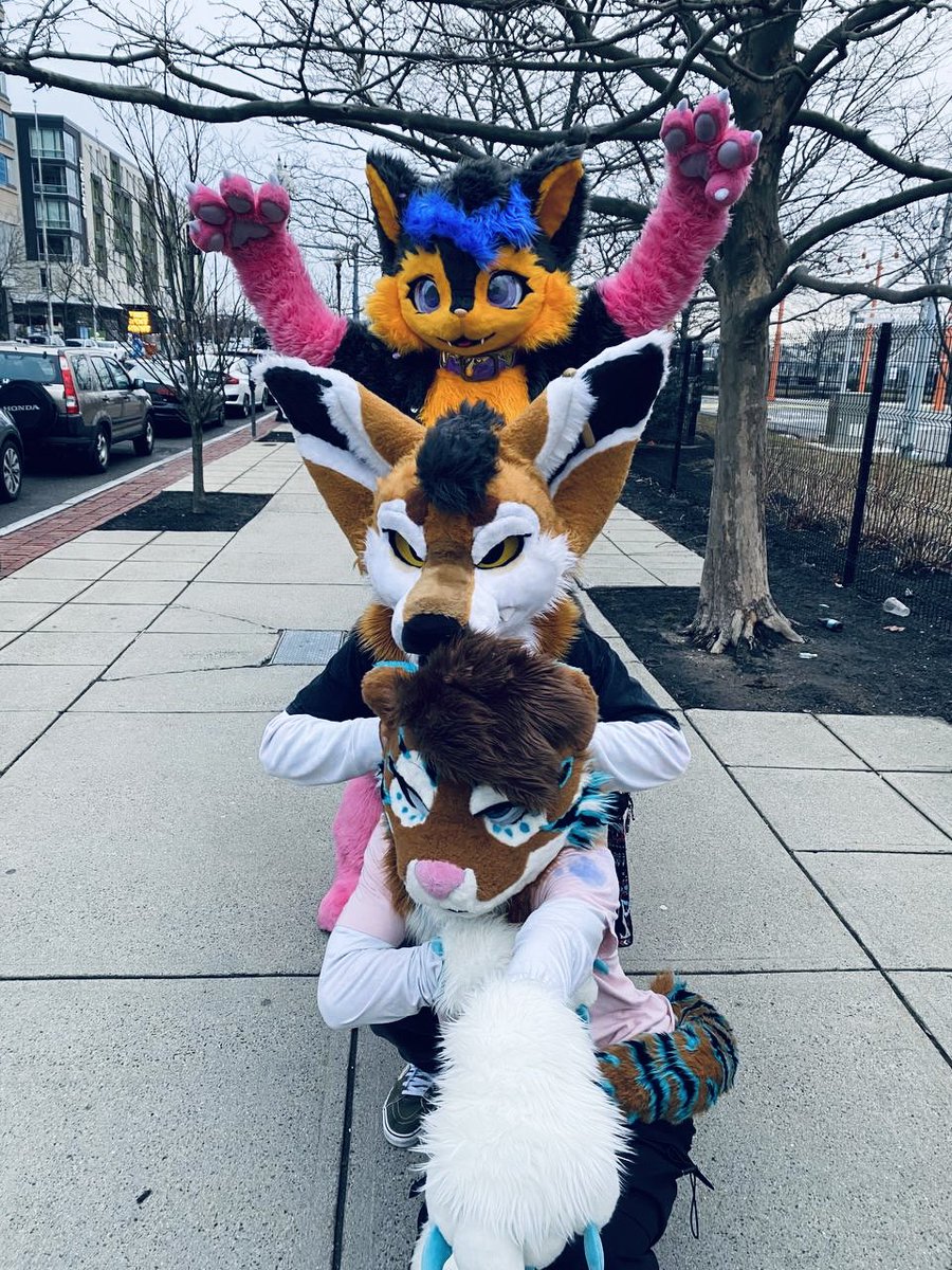 KipahuluKona's tweet photo. Gaping apes?🤨
@floofyori @RubinTigerr https://t.co/B1C4KXDM2w