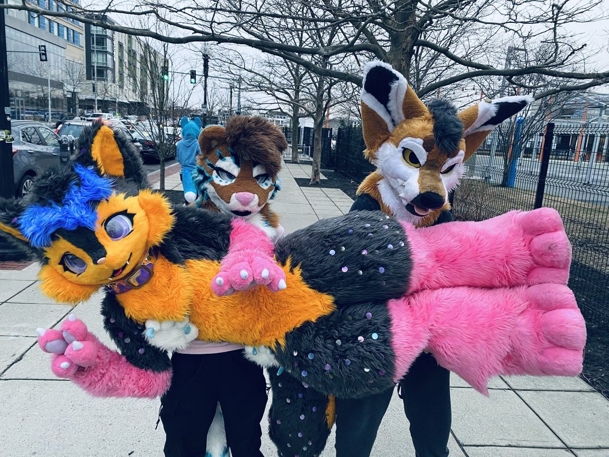 KipahuluKona's tweet photo. Gaping apes?🤨
@floofyori @RubinTigerr https://t.co/B1C4KXDM2w