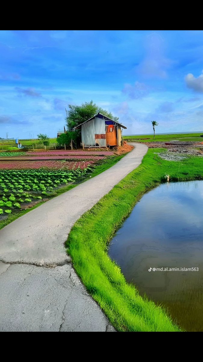 Mohammad Azazul105 (@azazul10572662) on Twitter photo 