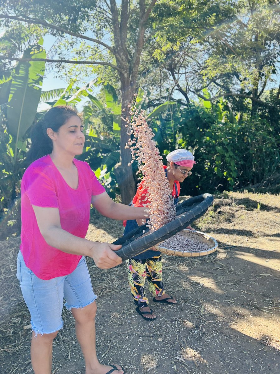 Soprando feijão 🫘