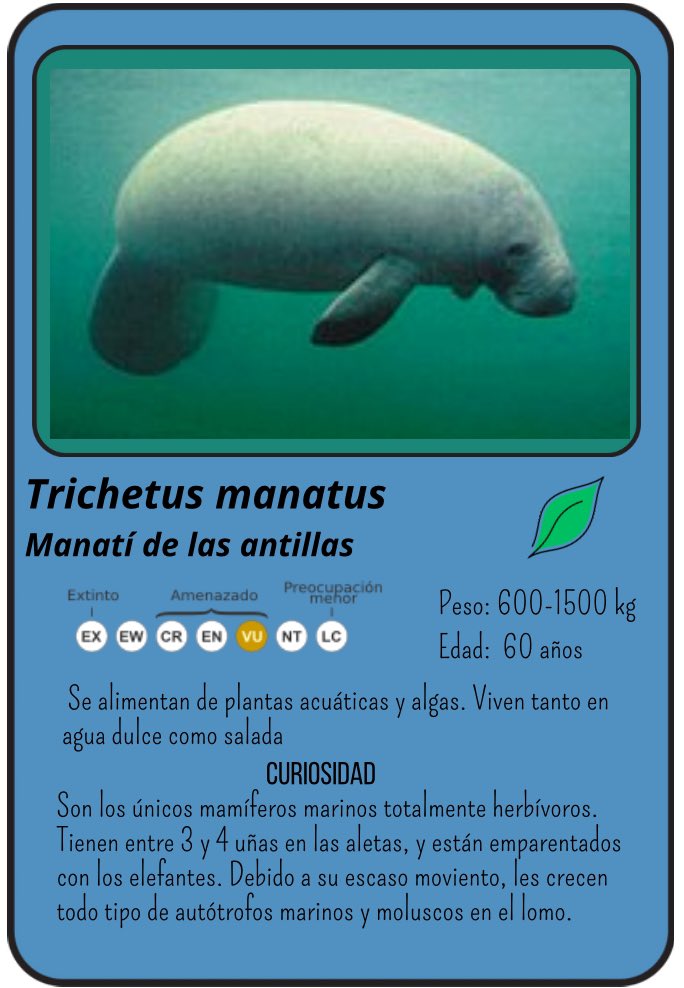 Ana Guirao tweet media